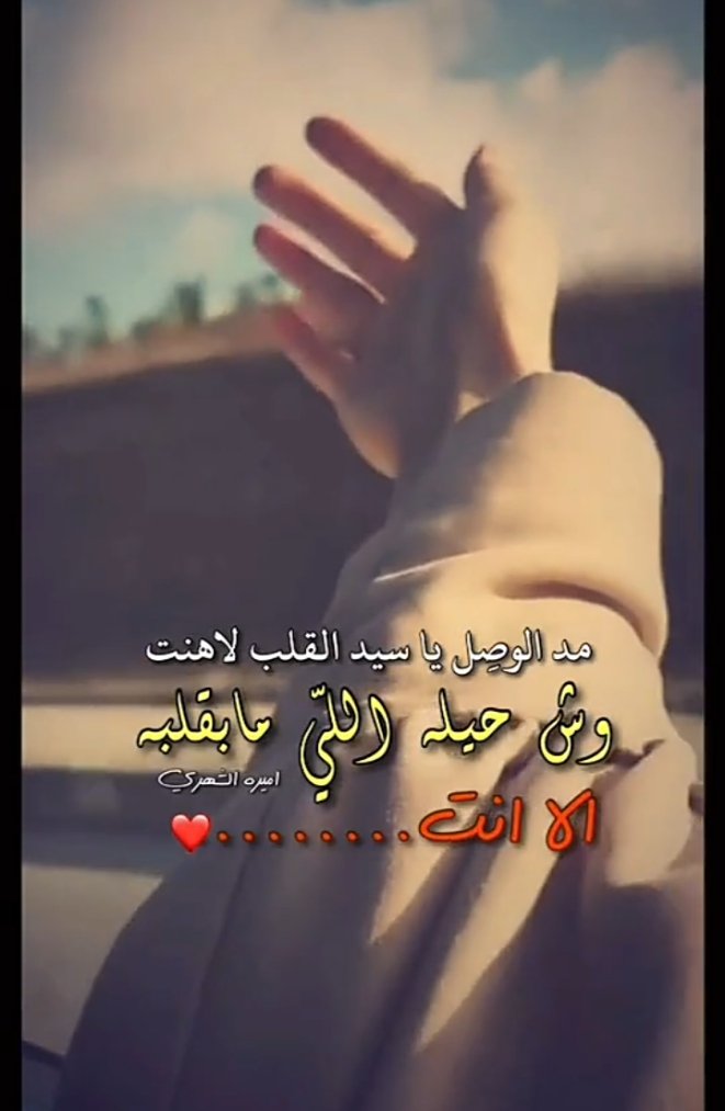 شيخة العرب tweet media