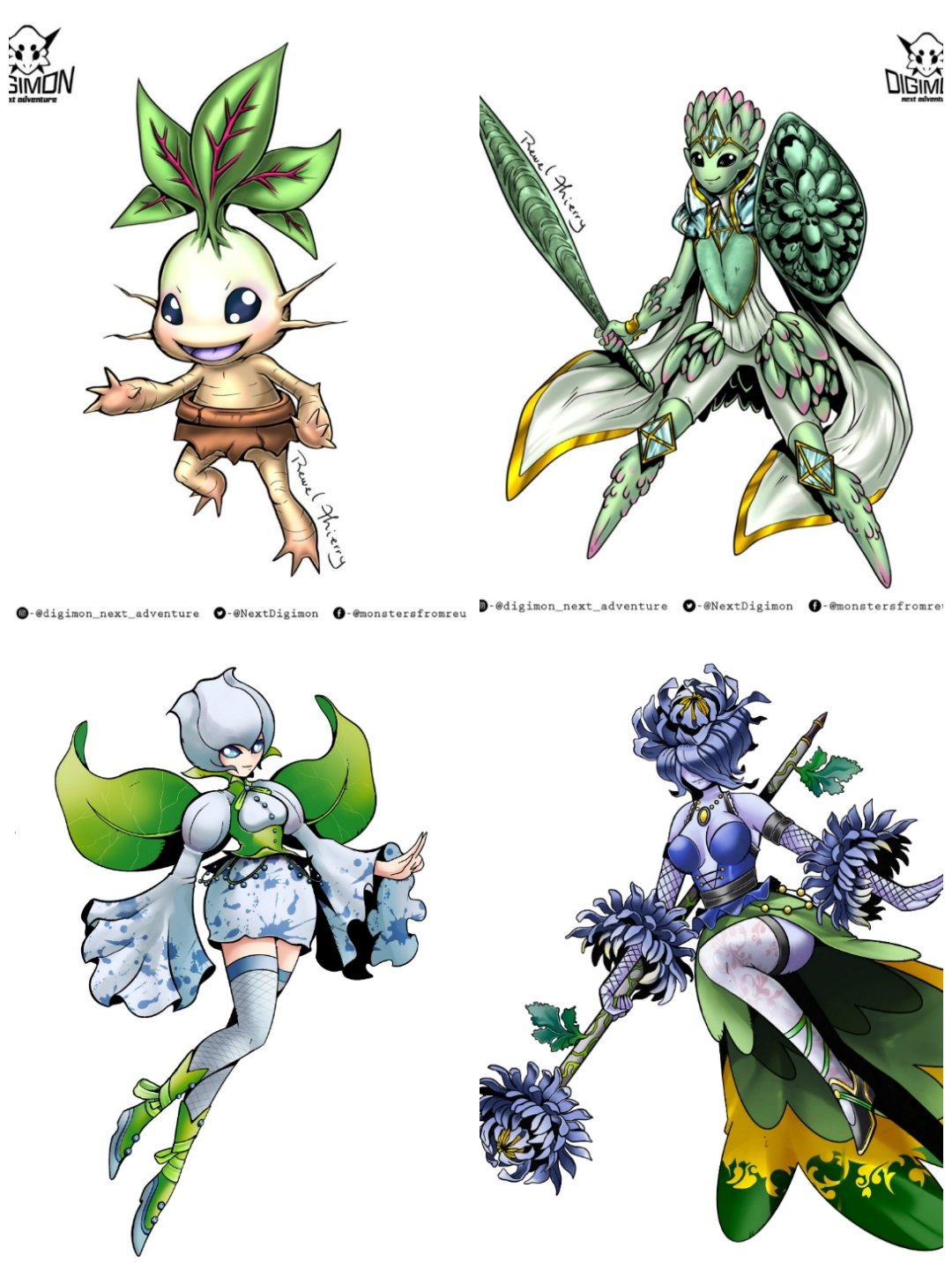 Digimon Next Adventure Twitter પર: "SEDUMMON Inspirations: Pachyphyllum, which is very cute, Sedum Clavatum in the shield. Terrariums and St. Gorge's Sword. #デジモン #オリデジ #DigimonNextAdventure #DigimonOC #FakeDigimon #SucculentPlant ...