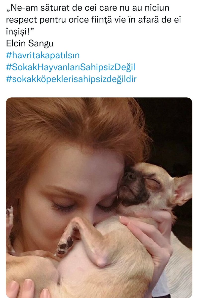 @Elena Elvira (@ela68031456) on Twitter photo 