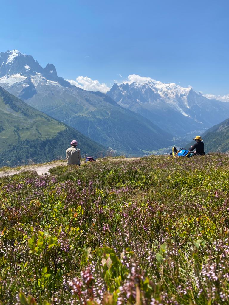 montblanctreks's tweet photo. Tour du Mont Blanc 2022 – Hiking Routes
https://t.co/UOlLvWyp8u
#2022 #tourdumontblanc #montblanc #hiking #walking #mountains #trekking #alps #chamonix #trailconditions #trekupdate #frenchalps #walkingholiday https://t.co/74hT2cS4rJ