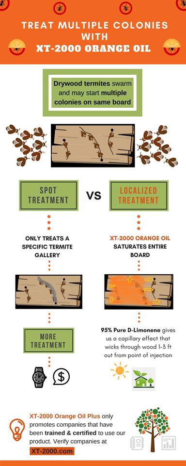XT_2000's tweet photo. Drywood termites may start multiple colonies on the same board. But XT-2000 Orange Oil Plus can treat multiple termite colonies! Here’s the difference between a spot treatment and a localized treatment using XT-2000 Orange Oil Plus.
#XT2000 #OrangeOil #PestControl #Termites https://t.co/emW2Vuems4