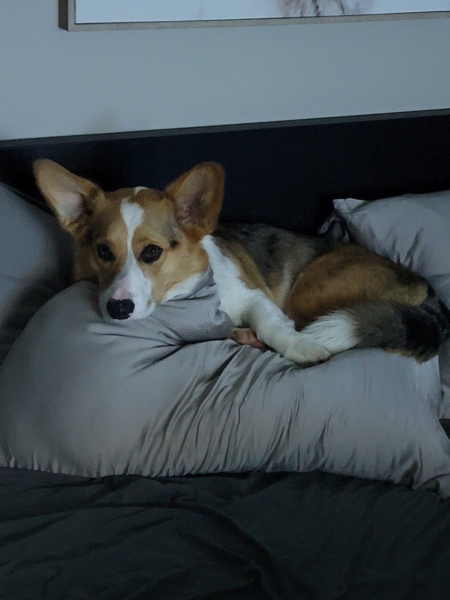 WARFRAME on Twitter "Don’t miss Rebecca, Steve, Geoff, Scott and