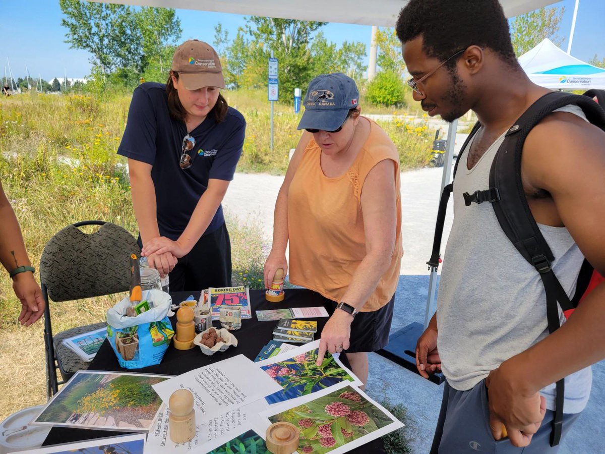 TRCA_HQ's tweet photo. TRCA's Ravine Youth Team are celebrating Flight of the Monarch Day at Tommy Thompson Park! Drop by, say hi 👋 and #feeltheflutter https://t.co/RWC7B9Vk1S