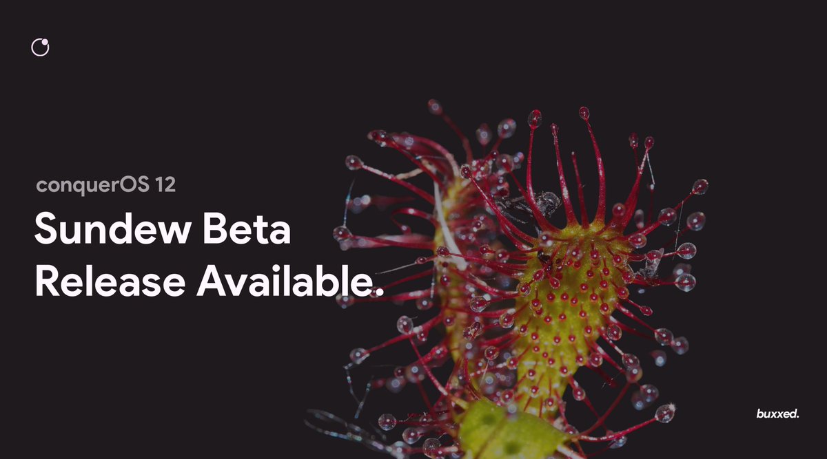 conquerosrom's tweet photo. conquerOS Sundew Beta is now available for Xiaomi SDM439!

More device will be available soon. https://t.co/XXHRnaSnLe