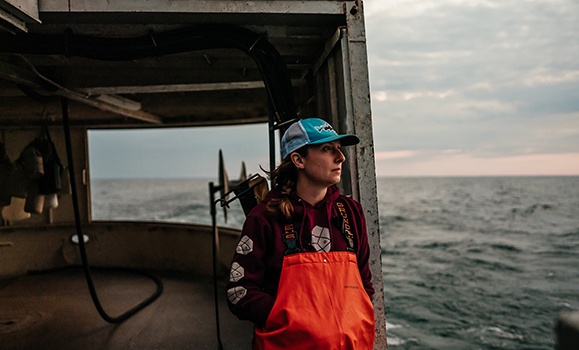 Dalhousie University tweet media