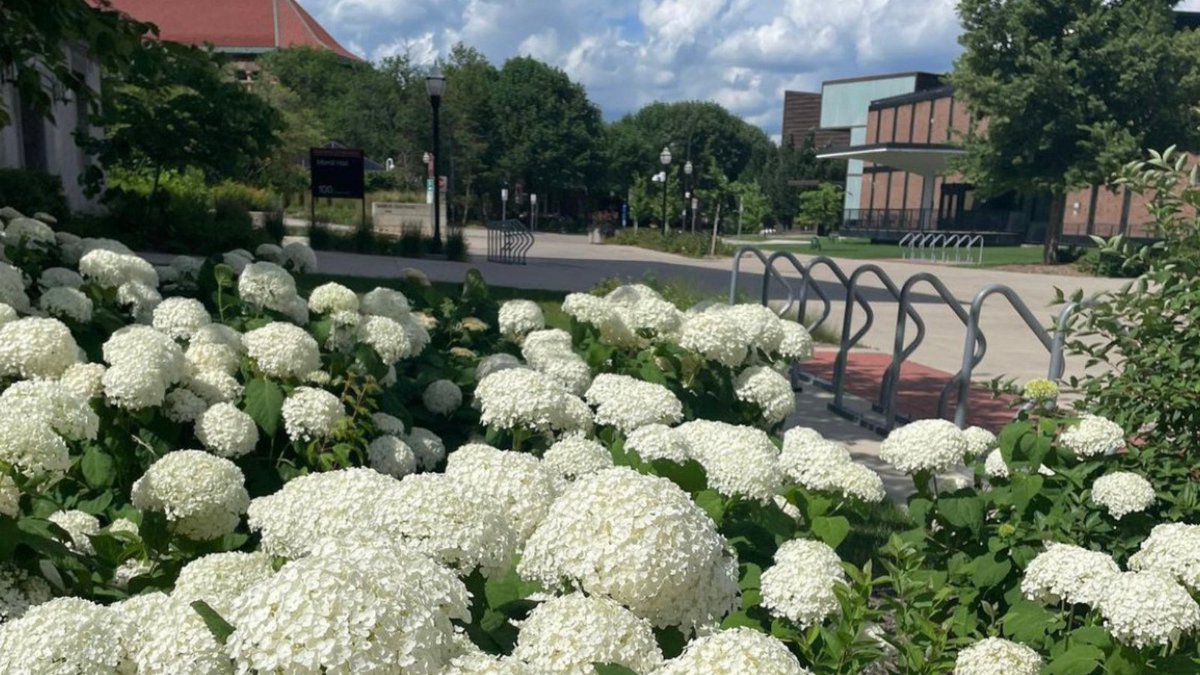 UMNAlumni's tweet photo. Beautiful views this Saturday!
#UMNProud #UMNCampus #SaturdayView #SaturdayViews #UMN #umntwincities
Photo Credits: @olegal96 https://t.co/DwnGMX4yK1