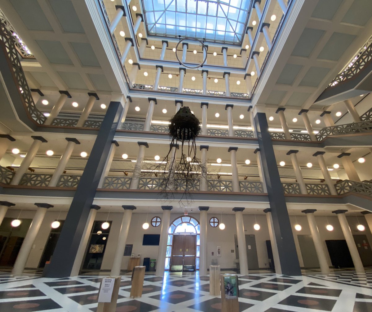 NASA_study's tweet image. ヒューストン大学に来てます。
NASAのお膝元だけあって、素晴らしい展示がいっぱいあります