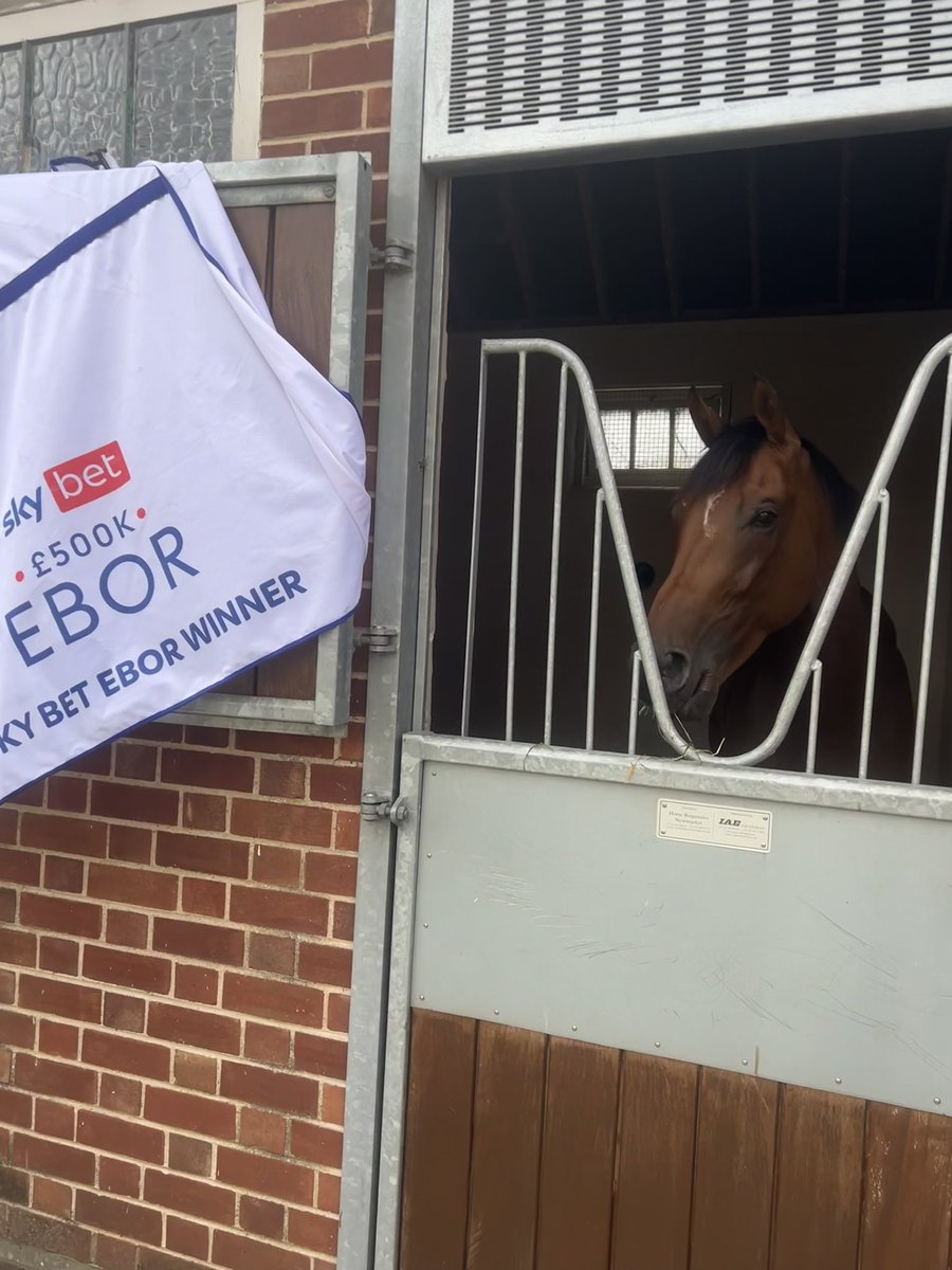 Trawlerman after winning The EBOR <a href="/yorkracecourse/">York Racecourse</a>  well done everyone at Clarehaven Stables.. fantastic race to win 🏆👍