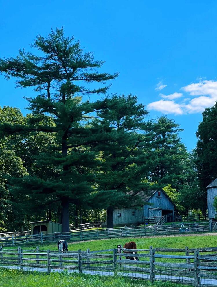 Dianna68's tweet photo. Have a great weekend, the weather is great today, NJ beaches🥰 https://t.co/2BeLwqBRO8