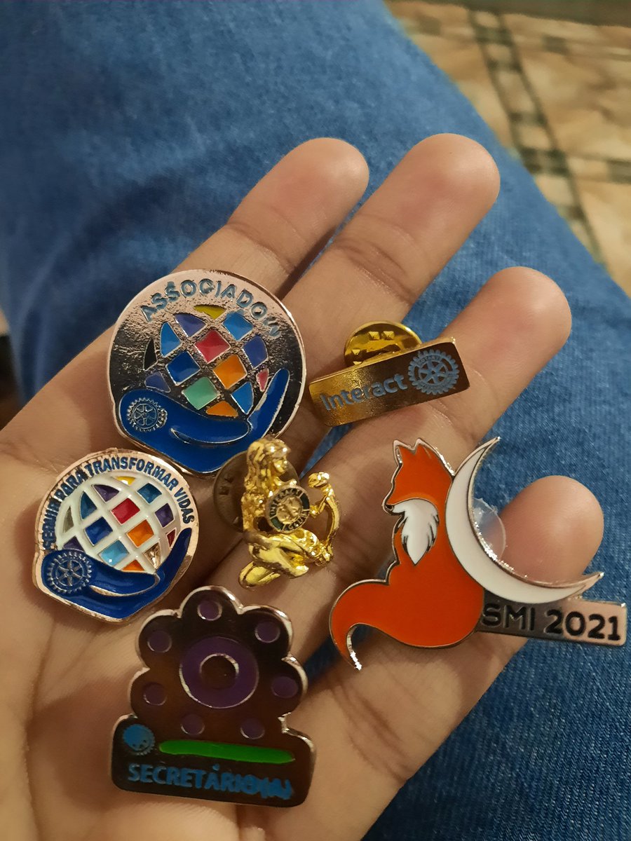 BEduardadas's tweet photo. Meu pins lindos e maravilhosos 
#distrito4730 #terrordoparana #interact @interact4730 https://t.co/N8HC9JMAPi