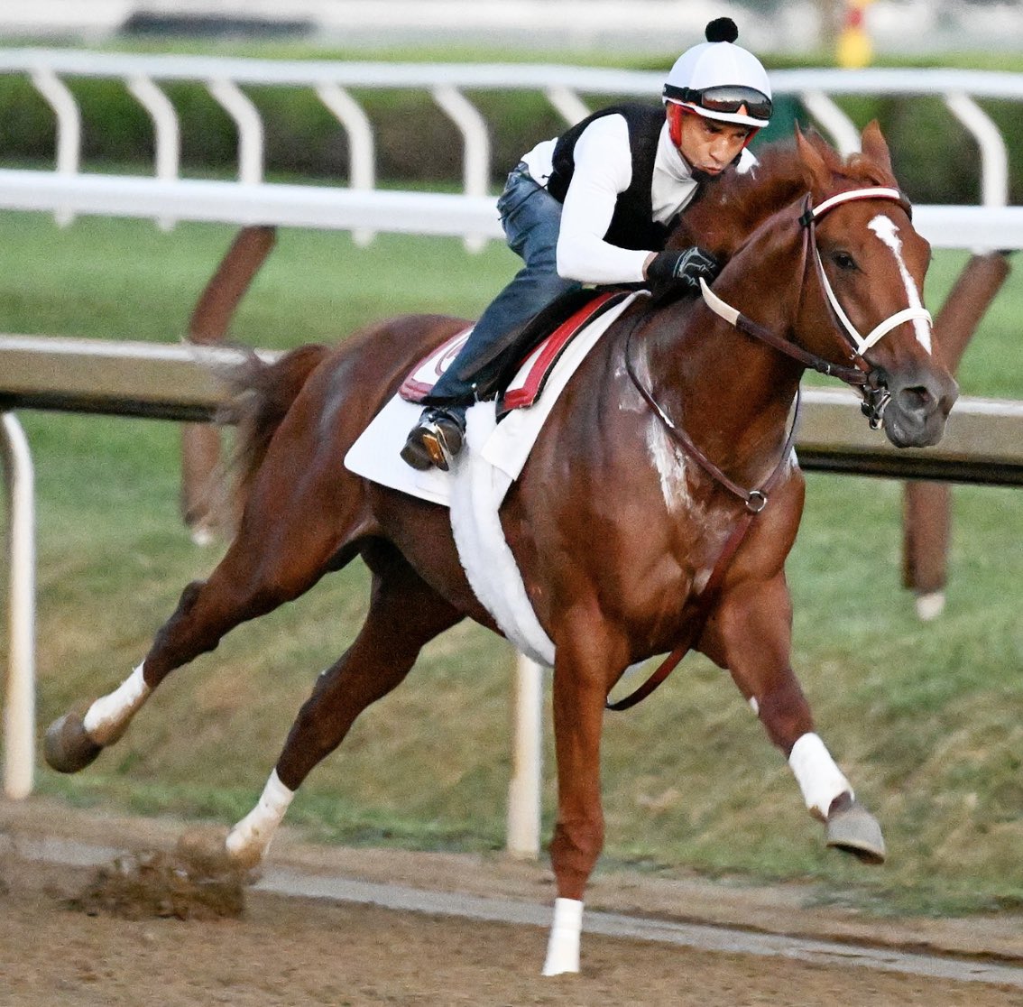 🏇 RICH STRIKE…!!!
El ganador del <a href="/KentuckyDerby/">Kentucky Derby</a> briseó 1000-59”82 en Saratoga y quedó listo para correr el próximo sábado 27 de agosto el Travers Stakes ($1,250,000) <a href="/TheNYRA/">NYRA (🗽)</a> 
📷 <a href="/EricaPhotog/">Erica Miller</a>