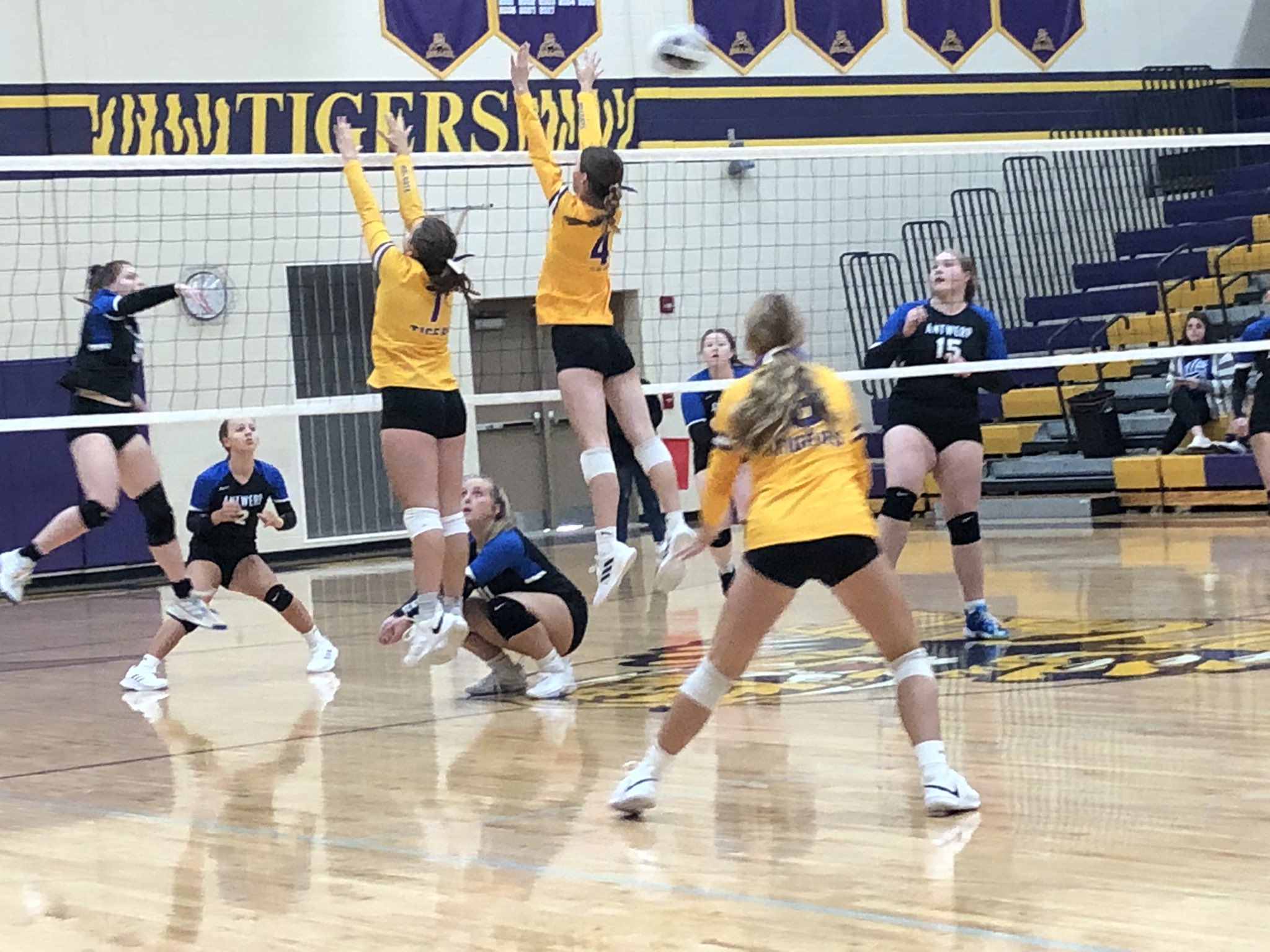 Holgate Athletics on Twitter "🏐 Varsity Lady Tigers “served up” an