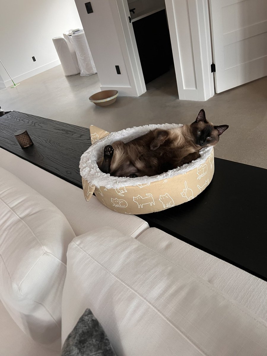 Duncan Johnson tweet media