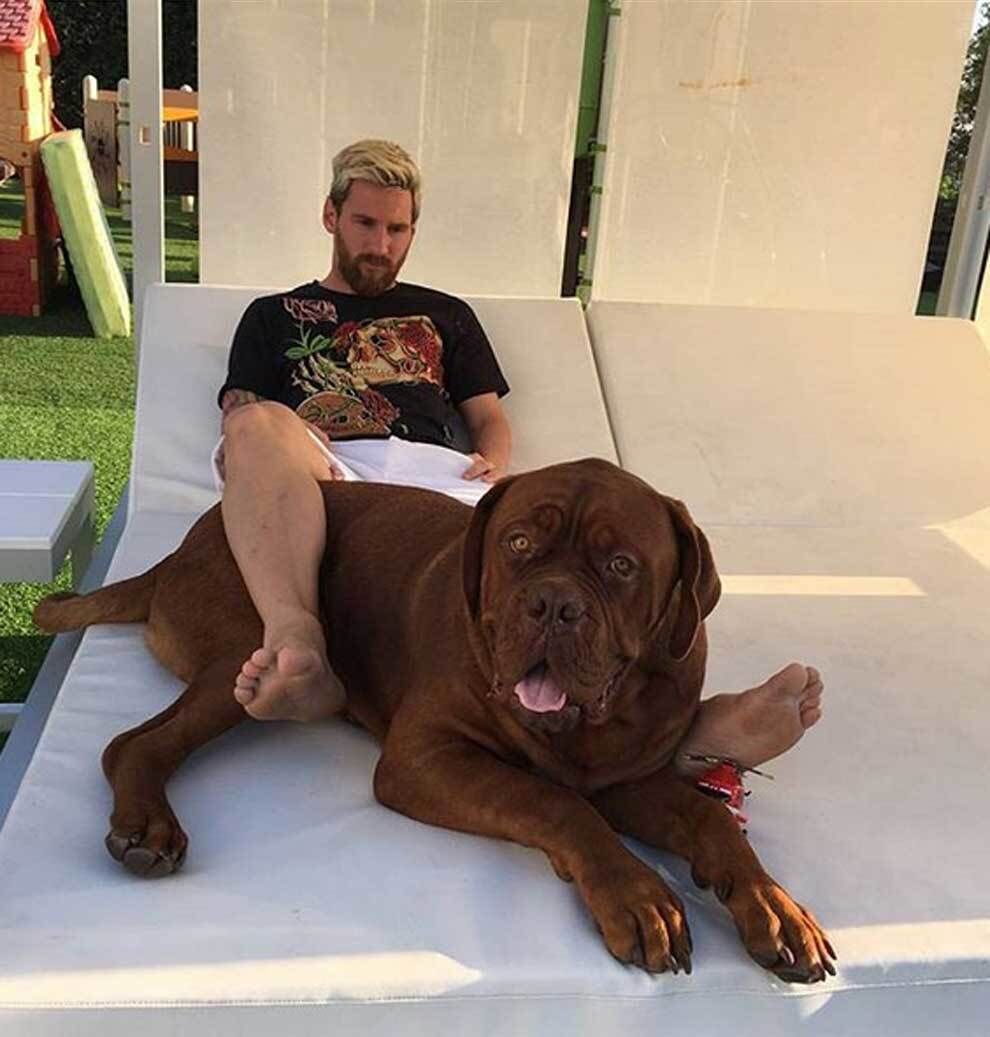 valencasIa's tweet photo. q carajo le da messi de comer a su perro https://t.co/4KEeK22cNK