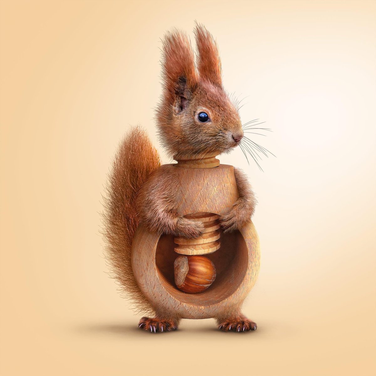 Animal kitchen helpers. Useful or not? Let me know your thoughts.
#butterfly #corkscrew #squirrel #spielsinn #nutcracker #edit #adobe