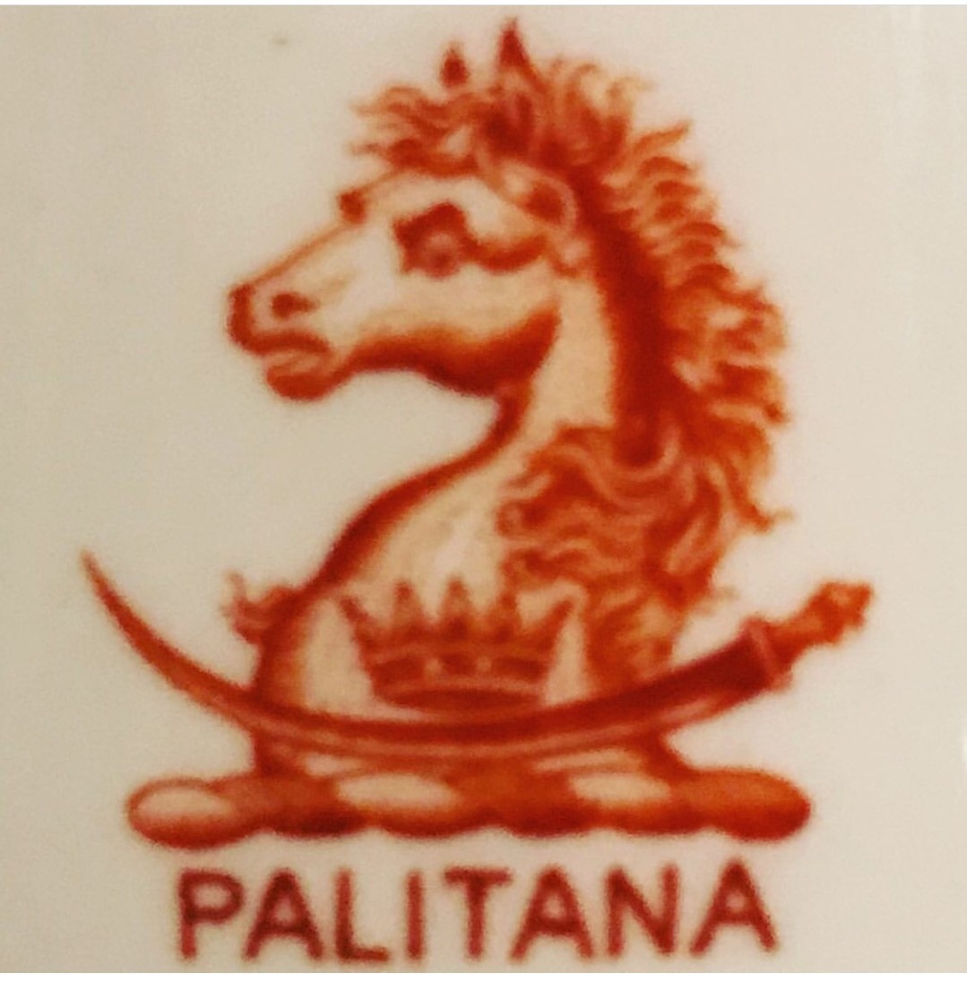 Rajdeepsinhji__'s tweet photo. 🌞The Princely State Of Palitana🌞 "Gohil" Rajput Dynasty. #palitana #HappyIndependenceDay #Rajput #HistoryVille #bhavnagar @YSJRSG https://t.co/2TRK4B1tlU