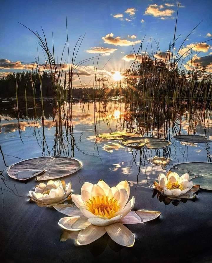 Good afternoon everyone