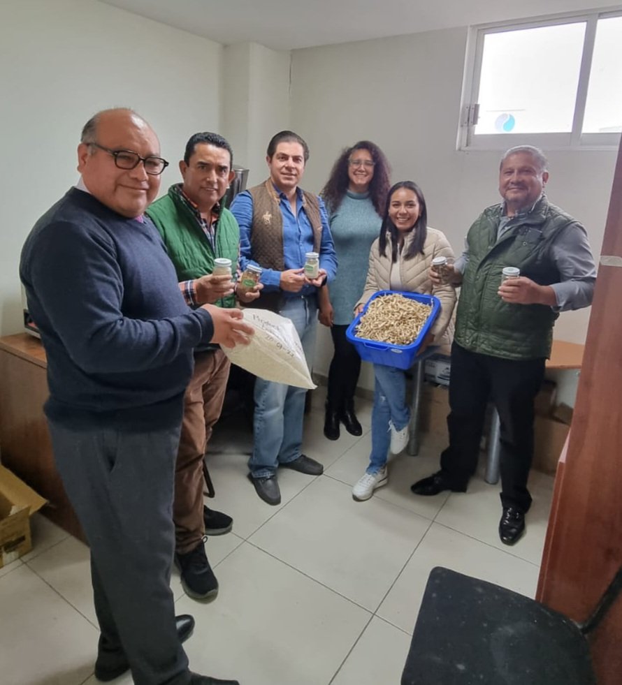 ConEsequiel's tweet photo. Deshidratados @UAEM forma antigua de conservar alimentos @FAO_AgriFam ventajas Mantiene propiedades nutricionales @FIRA_Mexico reduce espacio y almacenamiento @latierradondedeseovivir @unidosporelcampodemexico https://t.co/fM15fthQXT