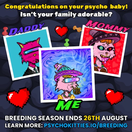 teaevoex's tweet photo. @PsychoKittiesOG My @psychokittiesOG and PsychoMolly did it like they do on the Discovery Channel and got freaky in my wallet 😏 Now I have a PSYCHO BABY 😺 #PsychoKittyBaby https://t.co/EIKnGpDrGs