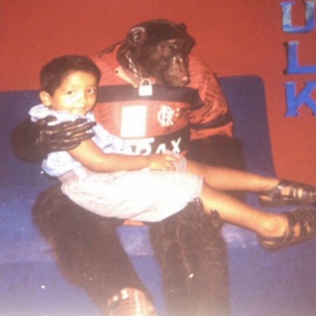 Raf4el__'s tweet photo. @crashbandcot Nunca será chimpanzé Flamenguista! https://t.co/Hw0LtMlX94