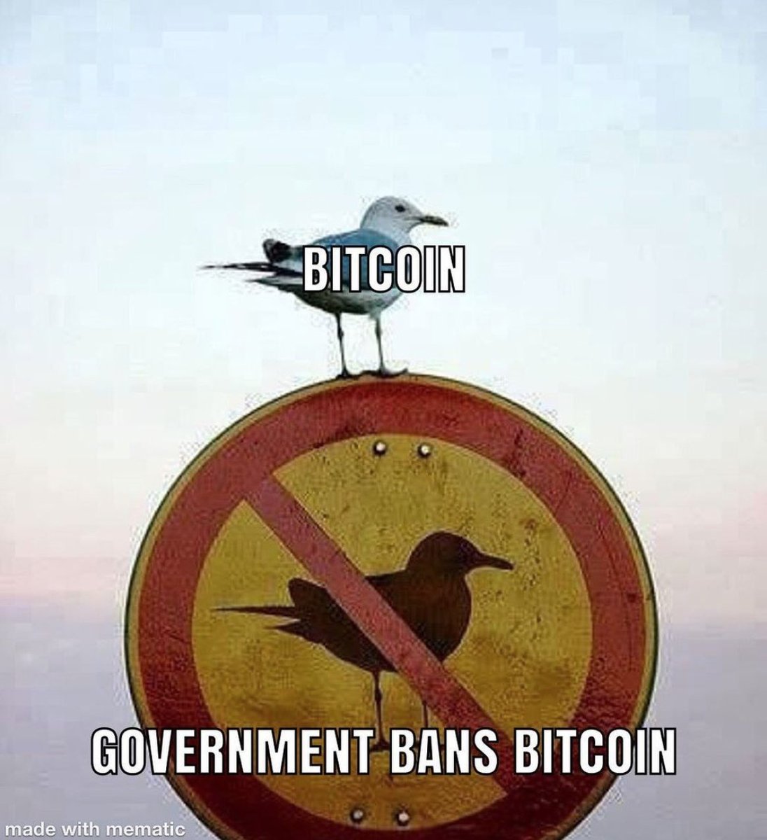 AltcoinDaily's tweet photo. #bitcoin https://t.co/YP9zH2zBuH