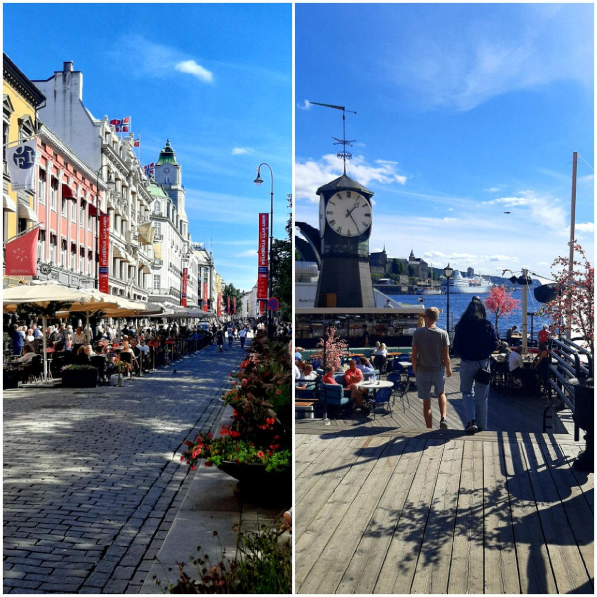 Avi Nir-Feldklein tweet media