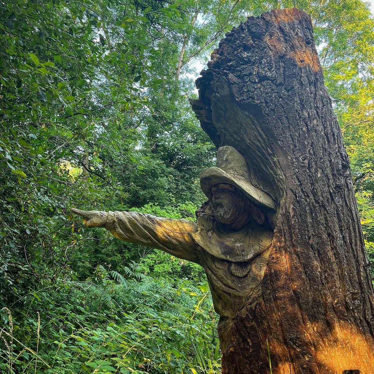 PhoebeRSmith's tweet photo. And, as the sun sets, the trees are lit with what looks like fire - as the green is bathed in amber and even the woods themselves seem to point the way… #wanderwoman #onassignment #amwalking #amwriting #ipilgrim #wayferer https://t.co/adgO4eyUC6