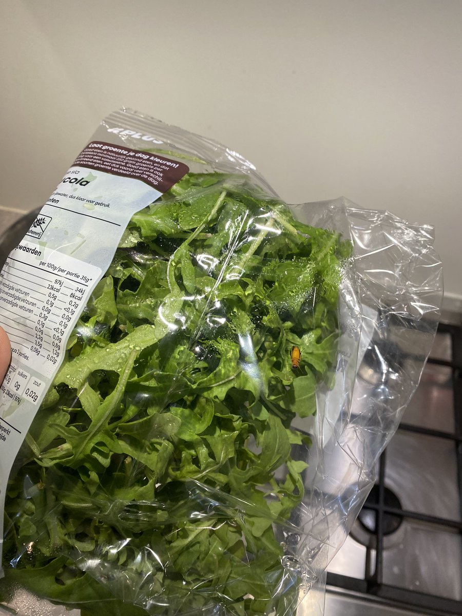 Mark_Bijl's tweet photo. @PLUSsupermarkt hoort dit? https://t.co/JUc1KYWECb