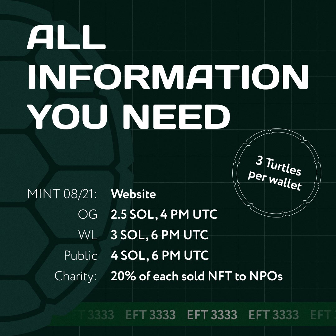 Eco-Friendly Turtles// MINTING NOW tweet media