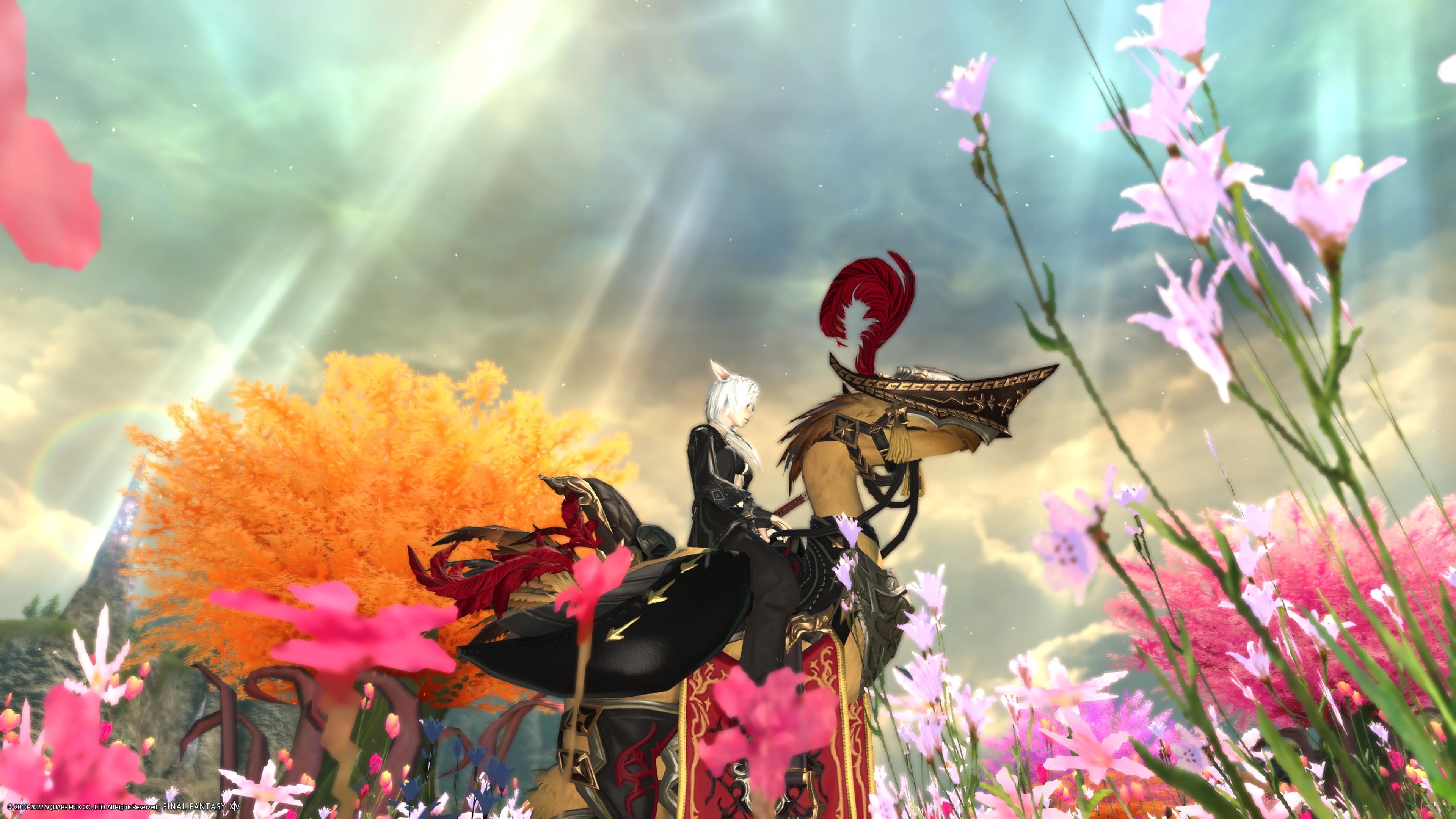 チョコボ装甲 Twitter Search Twitter