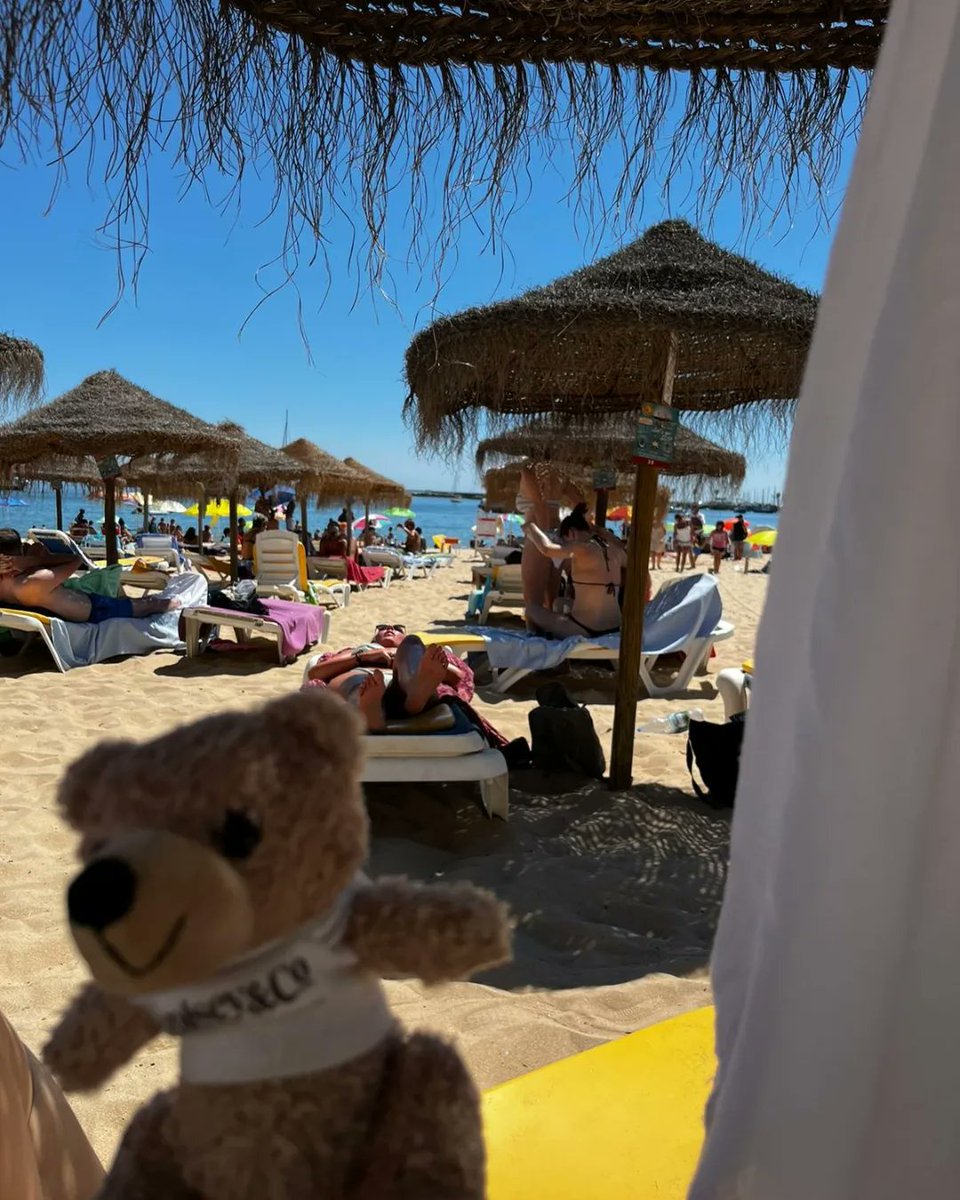 Voisey_and_Co's tweet photo. Someone was missing from our BBQ yesterday , Bertie decided to take a trip to Lisbon instead ☀️⛱️✈️

#HotBearSummer #Summer #Holiday #Lisbon #BertieOnTour https://t.co/YkGXWutsjG