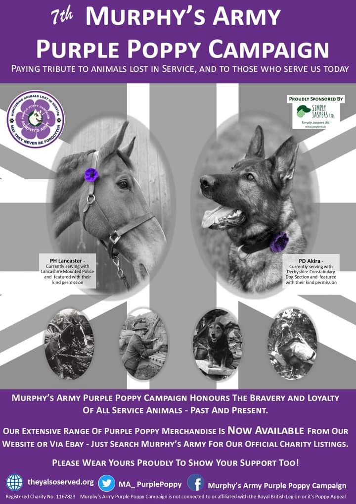 JulieMcmurphy's tweet image. Let's make this one the best ever , join us in celebrating and remembering the wonderful service animals both past and present #mappc #theyalsoserved #murphysarmy  @MA_PurplePoppy 💜💜🐾💜💜🐎💜💜