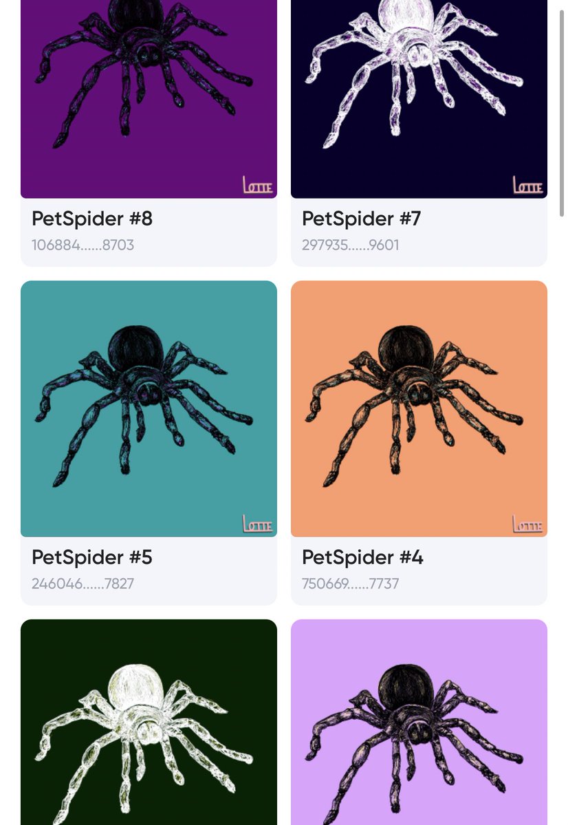 L2_lotte's tweet photo. Just dropped these hairy friends on LoopExchange :) 

8 unique pet spiders that are looking for a new home (I’m kind of scared of them hehe) 

Go check them out over here https://t.co/8MRCL7EF97 

#nft #loopring #GameStopNFT #loopringart https://t.co/KbkNFvunzQ