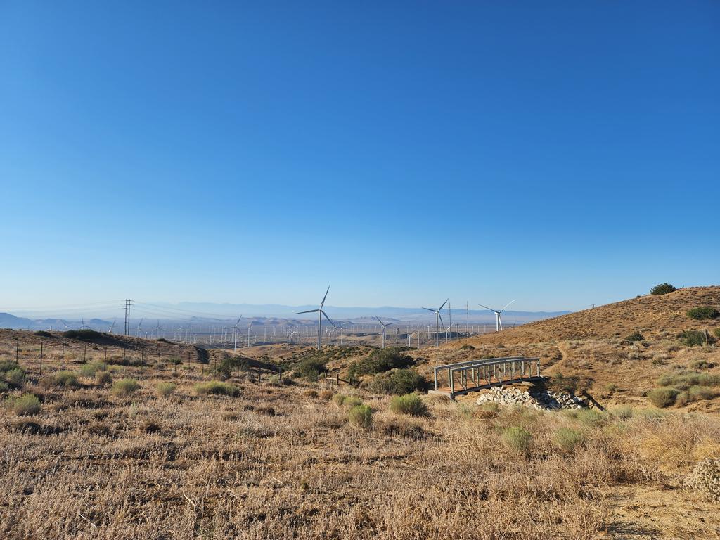 Tracy Scott Kelly tweet media