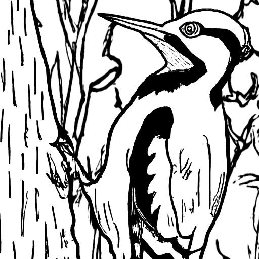 b_dazell's tweet photo. Sneak Peak 4: #Woodpecker

Working on a #ColoringBook of a variety of different #birds. Hoping to post the full thing soon! https://t.co/bbt1gAzY34