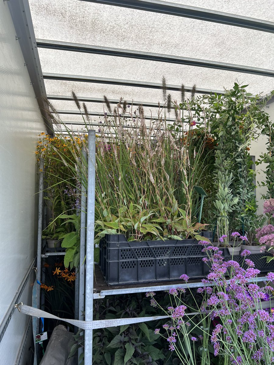 Van is loaded for tomorrow <a href="/hardyplants/">Hardy's Plants</a> we are off to HolePark <a href="/PlantsFairs/">Plant Fairs Roadshow</a> looking forward to seeing everyone #peatfree #Homegrown #flowers