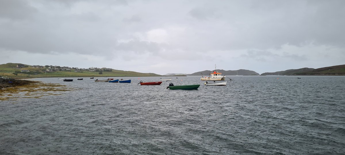nicillemhoire's tweet photo. @P0mona Oh yes! Got absolutely soaked walking the dog. It was hosing it down. 

#WetWeather #Crossbost #IsleOfLewis #BitWet https://t.co/m9D6DMVCWf