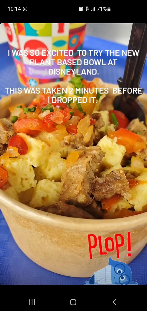 Sad times at the happiest place on earth.