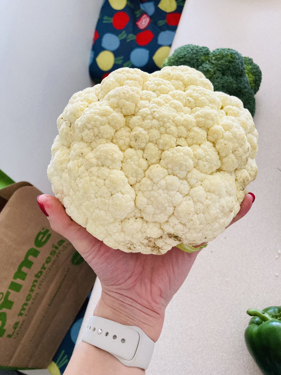 Nickmor's tweet photo. Betarragas del porte de un huevo, pimentones con HONGOS, coliflor y brócoli del porte de la Palma de la mano. Una VERGÜENZA!!! https://t.co/a5UkSHPZ6A