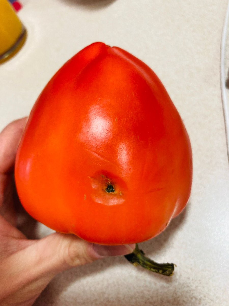 Nickmor's tweet photo. Betarragas del porte de un huevo, pimentones con HONGOS, coliflor y brócoli del porte de la Palma de la mano. Una VERGÜENZA!!! https://t.co/a5UkSHPZ6A
