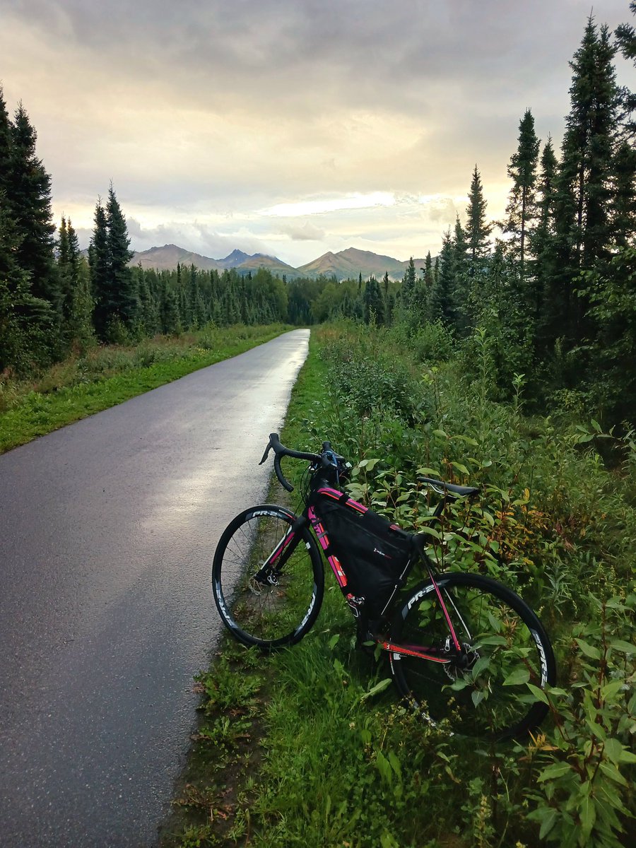 Periodic reminder that Anchorage is actually pretty great: This morning's ride included 8 moose, a bear, a monkeybread, and a little ray of sunshine.