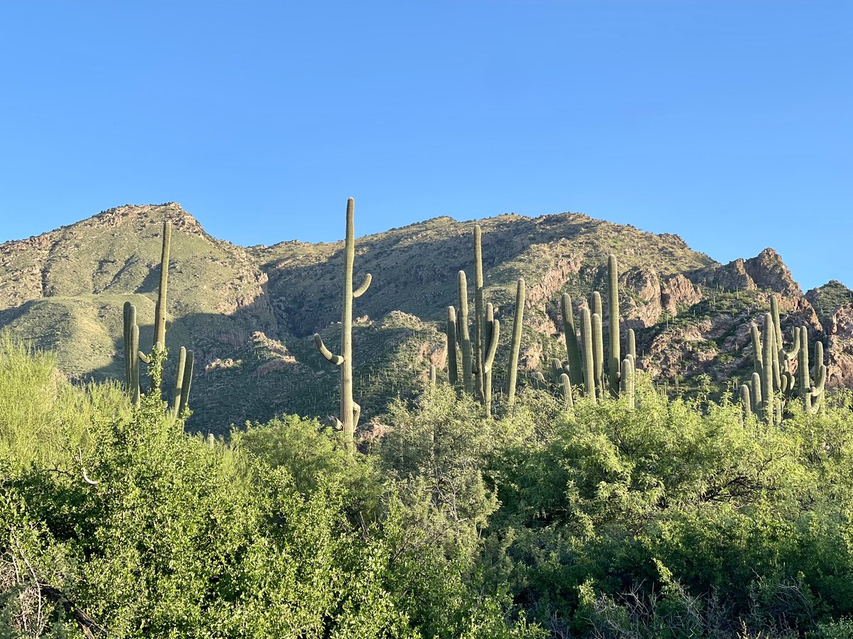 Hard to believe I already have a son in college. Just dropped him off at beautiful Tucson, AZ. Couldn’t be more proud or excited. Education brings so much happiness and fulfillment. Wishing I could be in his shoes again.