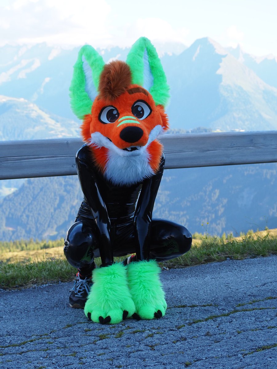 Loeck🦊🐶 tweet media