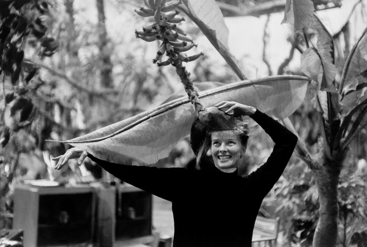 monoeilblog's tweet photo. Katharine Hepburn photographiée en 1959 par Burt Glinn
🔗 https://t.co/LMvJh7mACQ
#KatharineHepburn #katharinehepburn #burtglinn #burtglinnphotography #photo #photography #photographie #foto #fotografia #artwork #monoeil https://t.co/IVUPvDfQ6w