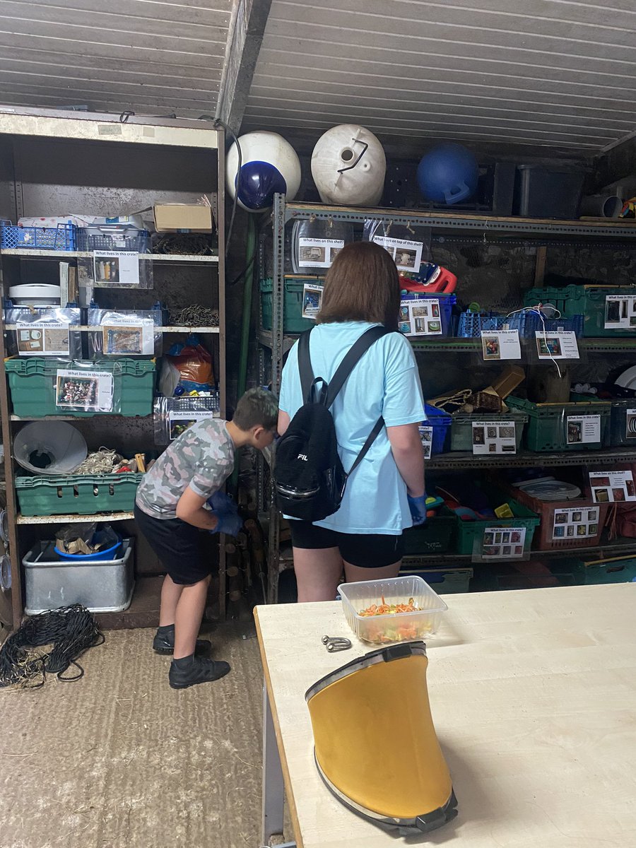 Rach_001's tweet photo. Would highly recommend the junior zoo keeper experience day @DartmoorZoo kids gave it 5 stars and want to do it again. Thank you for such an amazing and memorable day! https://t.co/JRXrGbwNoz