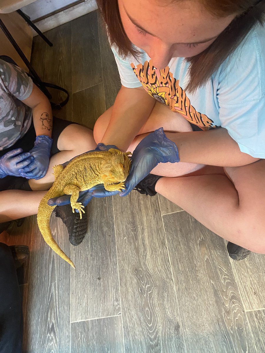 Rach_001's tweet photo. Would highly recommend the junior zoo keeper experience day @DartmoorZoo kids gave it 5 stars and want to do it again. Thank you for such an amazing and memorable day! https://t.co/JRXrGbwNoz