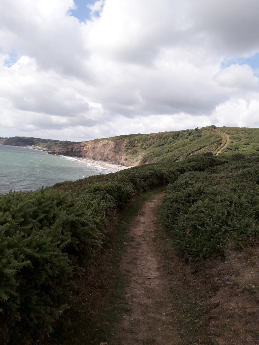 Carolin55760793's tweet photo. Hi @Luke_DynamDeliv & @AmyMitchellOT. As I didn't hear from any #AdminActive staff, I'm going to take up your kind offer of being #NursesActive & #AHPsActive -honorary members. Thank you. Drove to #Amroth & walked a small part of the #WalesCoastalPath. 1st pic is me & my shadow. https://t.co/JtLUHCsGDl
