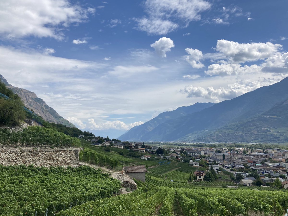 GarunyaW's tweet photo. Wine not? 

#Fully #Martigny #Wallis #Suisse #GrandTourOfSwitzerland #ETour https://t.co/oRhcODIfmr