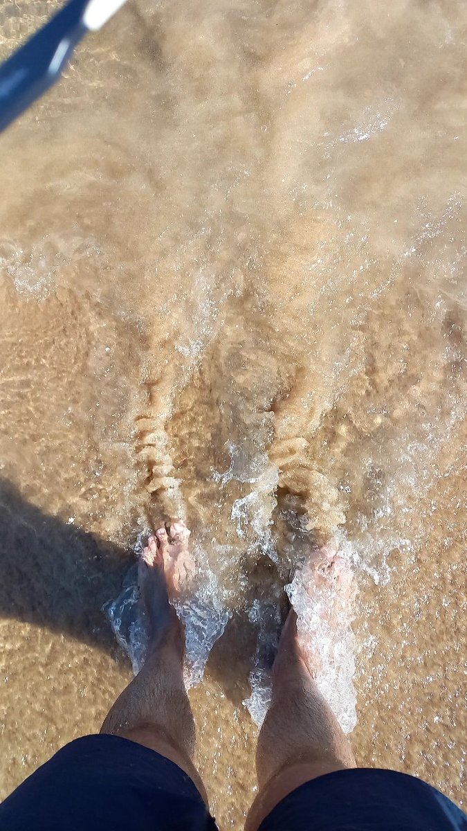 Diego Moreno tweet media