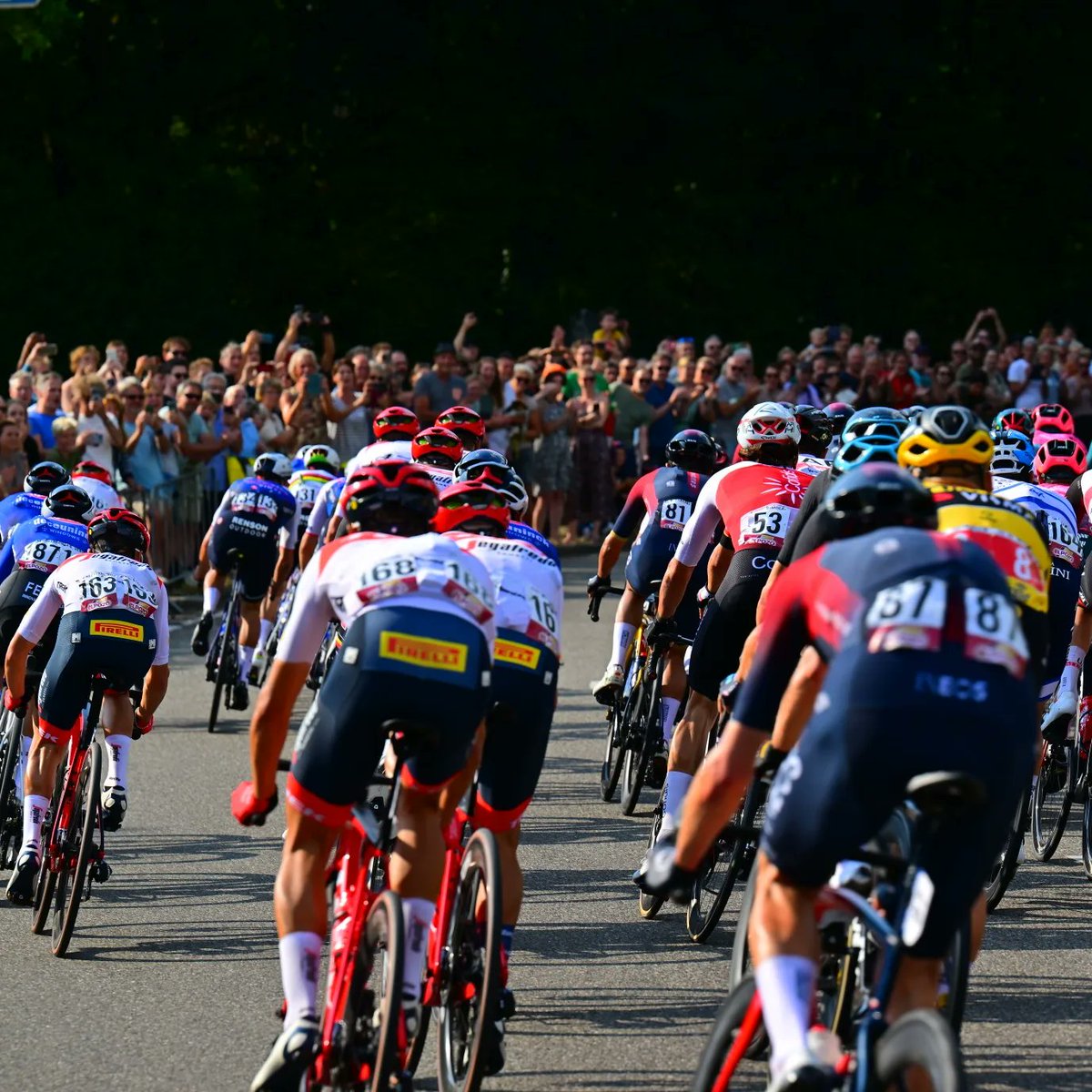 Een indruk van beide doorkomsten van <a href="/LaVueltaHolanda/">La Vuelta Holanda</a> vandaag bij de Berenkuil in Utrecht 2/2
#vamosholanda #NikonZ9